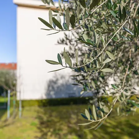 Ocean ゲストハウス