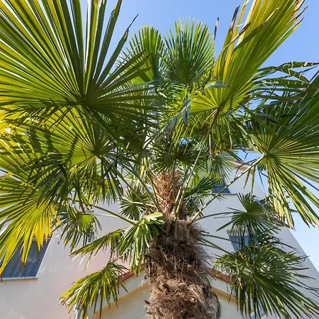 Ocean Guest house 4*